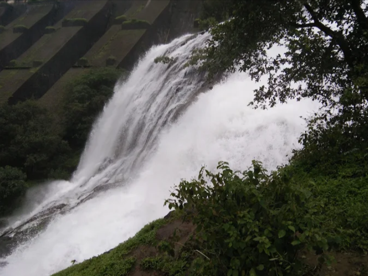 Umbrella Fall Umbrella Fall