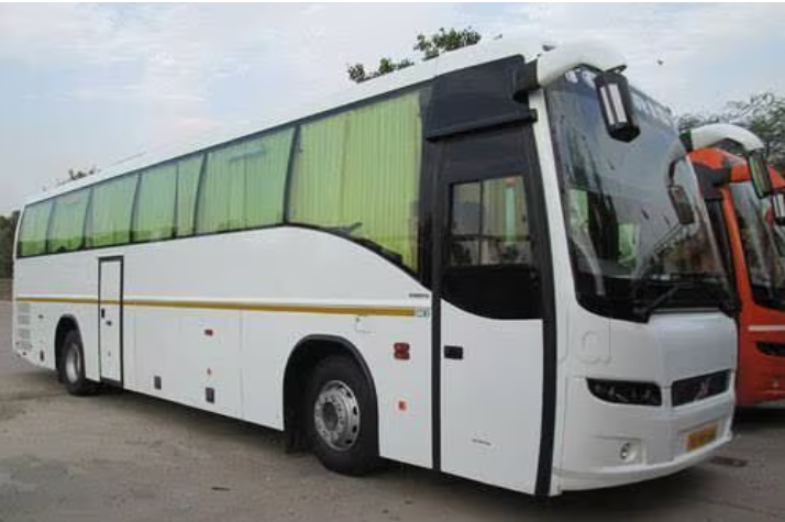 Local buses Local buses