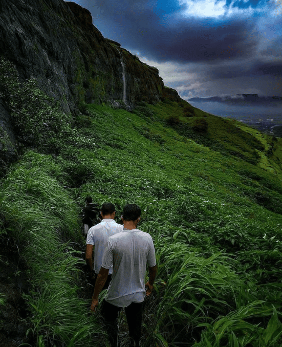 Nature Walks Nature Walks